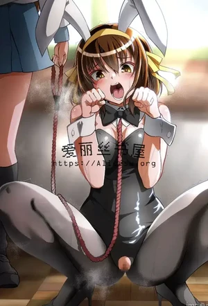 京介酋长的后宫计事(凉宫春日的陨落)